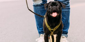 (Φωτογραφία: Unsplash)