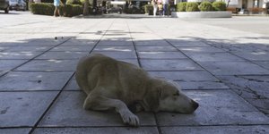 Φωτογραφία αρχείου: EUROKINISSI/ΘΑΝΑΣΗΣ ΚΑΛΛΙΑΡΑΣ