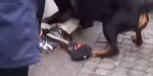 Φωτογραφία: tempo24.gr