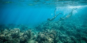 Οχτώ τρόποι για απώλεια θερμίδων χωρίς να νιώσει κανείς ότι κάνει γυμναστική [ει