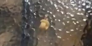 Ανοιξε σακούλα με σνακ και βρήκε μόνο ένα
