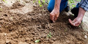 Παγκόσμια Ημέρα εδάφους