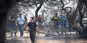 Ραφήνα/Φωτογραφία: EUROKINISSI/ΤΑΤΙΑΝΑ ΜΠΟΛΑΡΗ