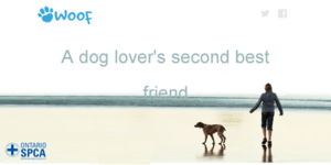 Facebook για σκυλιά δημιούργησαν Καναδοί φοιτητές: Βρείτε του φίλους και μαρκάρε