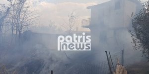 Ηλεία: Οριοθετήθηκε η πυρκαγιά - Μικρές ζημιές (Φωτογραφία: PatrasTimes)