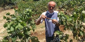 ΦΩΤΟΓΡΑΦΙΑ: patrisnews.gr