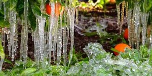 Σταλακτίτες: Φωτογραφίες: argolikeseidhseis.gr