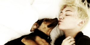 Τα τετράποδα «μωρά» των σταρ - Πιστοί φίλοι η χνουδωτά αξεσουάρ; [εικόνες]