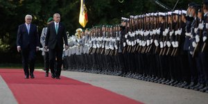 Oι πρόεδροι Γερμανίας και Τουρκίας