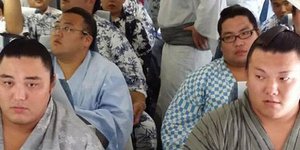 Η πιο «στριμωγμένη» πτήση -29 παλαιστές του σούμο σε ένα αεροπλάνο [εικόνες]