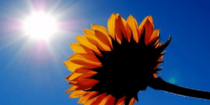 Αίθριος καιρός με λίγη συννεφιά και άνοδο της θερμοκρασίας