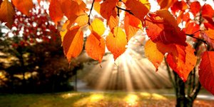 Ο Νοέμβριος του 2013 ήταν ο πιο ζεστός στη μετεωρολογική ιστορία [εικόνα]