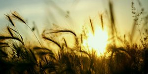 Καιρός για κυριακάτικες βόλτες -Ηλιόλουστη ημέρα