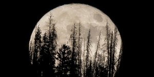 Φωτογραφίες: AP Photo