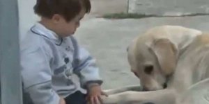 Πώς ένα επίμονο λαμπραντόρ καταφέρνει να κερδίσει την αγάπη ενός παιδιού με σύνδ