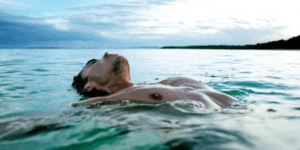 Το θαλασσινό νερό είναι υγεία: Τι επίδραση έχει η θάλασσα στον οργανισμό μας