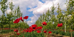 ΦΩΤΟΓΡΑΦΙΑ: INTIME NEWS