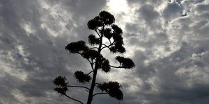 Φωτογραφία: Ιntimenews