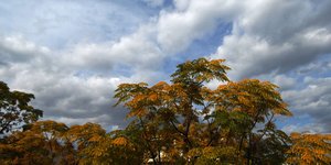 ΦΩΤΟΓΡΑΦΙΑ: EUROKINISSI /ΘΑΝΑΣΗΣ ΚΑΛΛΙΑΡΑΣ