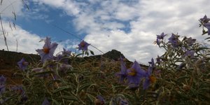 (EUROKINISSI/ ΒΑΣΙΛΗΣ ΠΑΠΑΔΟΠΟΥΛΟΣ)