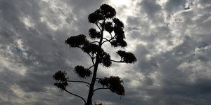 Φωτογραφία: IntimeNews