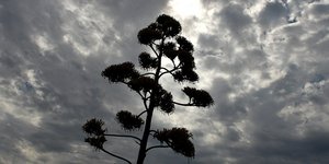 Φωτογραφία: IntimeNews