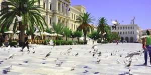 Δημοτικό Συμβούλιο