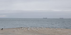 Φωτογραφία: SOOC