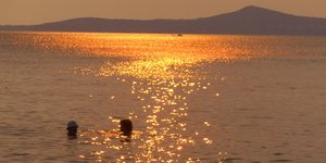 ΦΩΤΟΓΡΑΦΙΑ: EUROKINISSI 