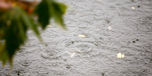 Φωτογραφία: IntimeNews/ΤΟΣΙΔΗΣ ΔΗΜΗΤΡΗΣ