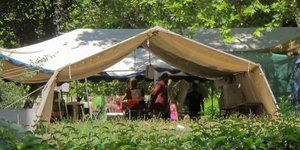 ΦΩΤΟΓΡΑΦΙΑ: intimenews.gr