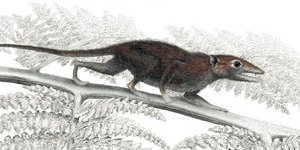 ΦΩΤΟΓΡΑΦΙΑ: Carnegie Museum of Natural History