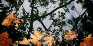  Φωτογραφία: EUROKINISSI/ΓΙΩΡΓΟΣ ΚΟΝΤΑΡΙΝΗΣ