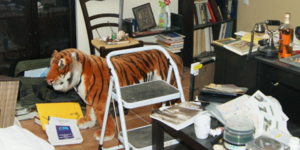 Μυστήριο: Ο Χρήστος Παππάς εκτός από όπλα και ναζιστικά σύμβολα έκρυβε στο σπίτι