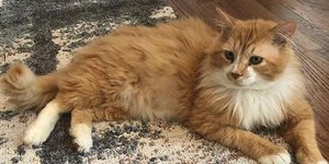 Φωτογραφία: Instagram