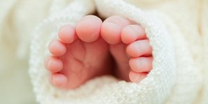 φωτογραφία: pixabay.com