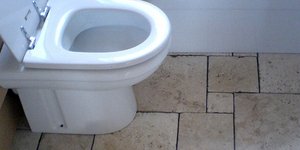 Έδωσε στην αφεντικίνα του να πιει νερό από την τουαλέτα