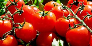 Δέσμευσαν 484 χαρτοκιβώτια