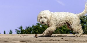 Φωτογραφία: Pixabay