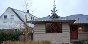 Αυτό είναι το πιο αποτυχημένο Χριστουγεννιάτικο δέντρο [εικόνες]