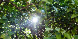 Φωτογραφία: EUROKINISSI / ΕΛΕΝΗ ΡΟΚΟΥ