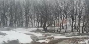 Χιόνια στα ορεινά των Τρικάλων