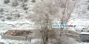 Xιόνι στα Τρίκαλα/ Φωτογραφία: trikalaola.gr