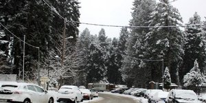 Συνεχίζεται η κακοκαιρία σε ολόκληρη τη χώρα (Φωτογραφία: trikalaola)