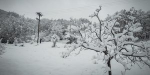 χιόνι στο νομό Τρικάλων/Φωτογραφία αρχείου: Eurokinissi