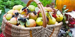 Φωτογραφία: Shutterstock