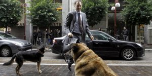 Τρόικα σε κυβέρνηση μετά από την επίθεση των αδέσποτων: Μαζέψτε τα σκυλιά σας