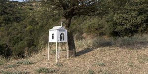 Φωτογραφία: Konstantinos Tsakalidis / SOOC