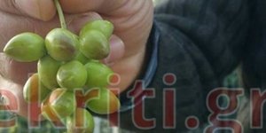 ΦΩΤΟΓΡΑΦΙΑ: ekriti.gr