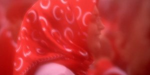 Φωτογραφία: ΑΠΕ-ΜΠΕ 